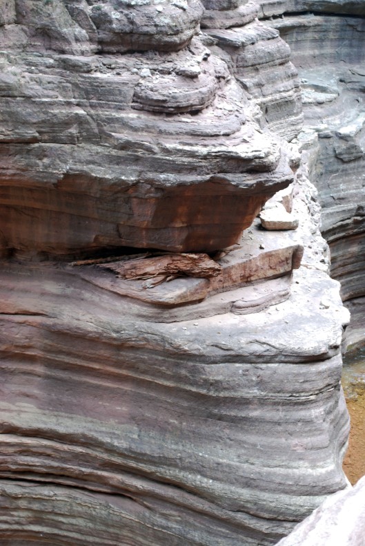 This log got stuck here in one of the flash floods the canyon had. Isn't that amazing?